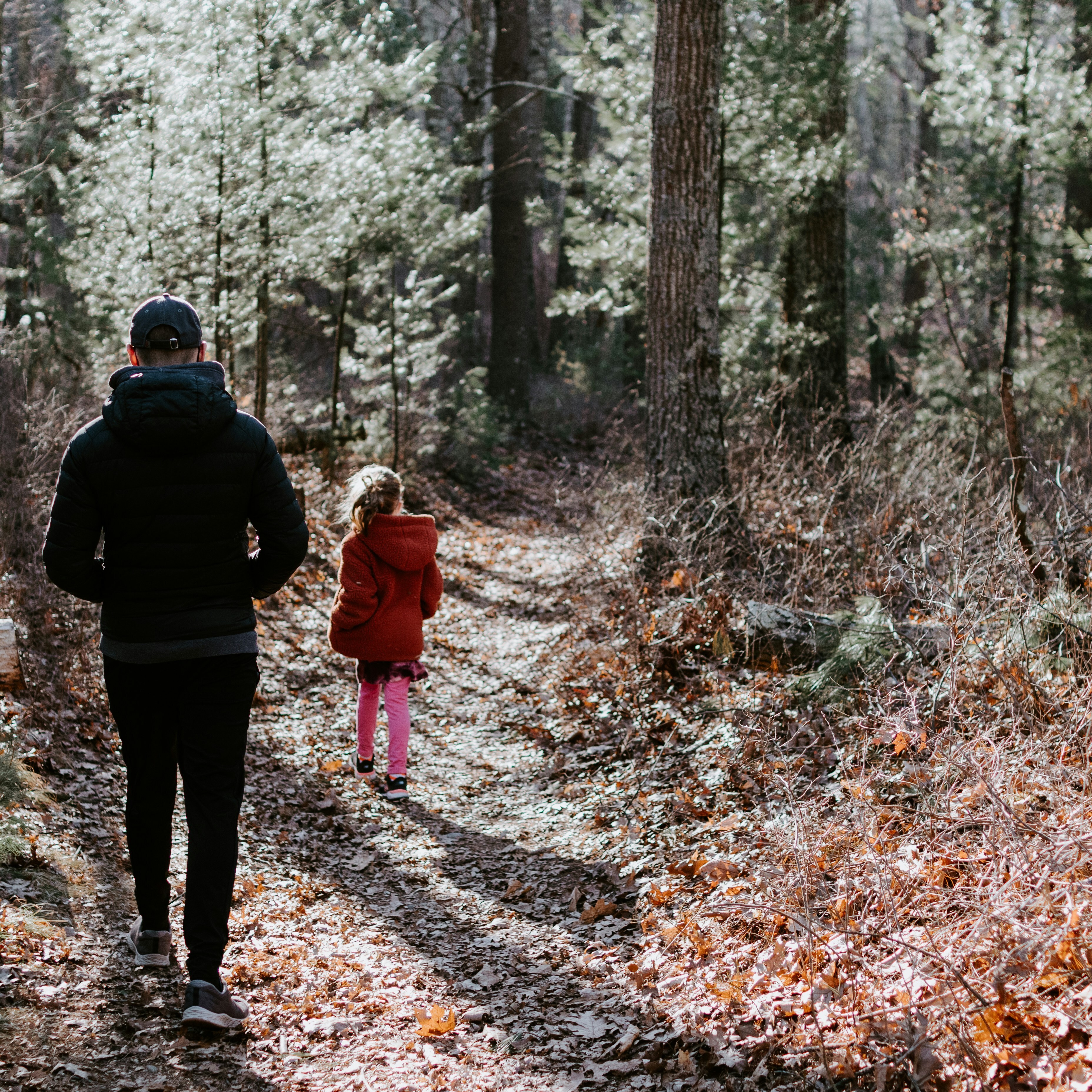 Trail Stewards in Action: Volunteer and User-Focused Safety - logo